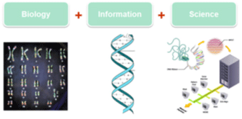 Biology + information + science
